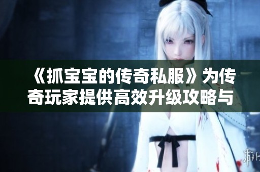 《抓宝宝的传奇私服》为传奇玩家提供高效升级攻略与技巧分享
