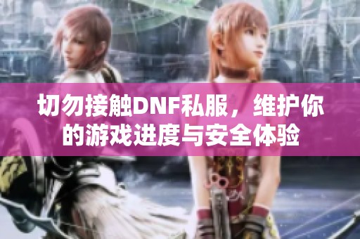 切勿接触DNF私服，维护你的游戏进度与安全体验
