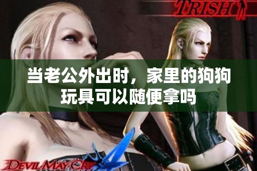 当老公外出时，家里的狗狗玩具可以随便拿吗