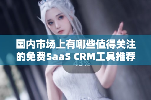 国内市场上有哪些值得关注的免费SaaS CRM工具推荐