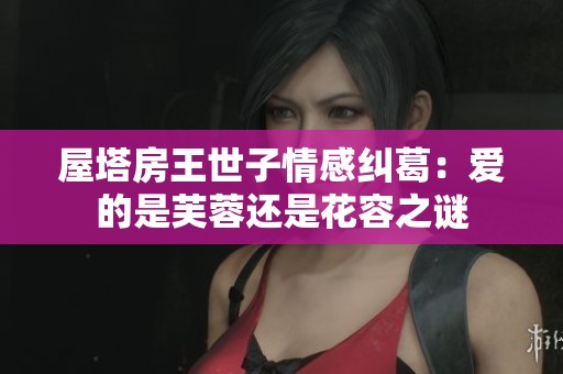 屋塔房王世子情感纠葛：爱的是芙蓉还是花容之谜