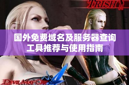 国外免费域名及服务器查询工具推荐与使用指南