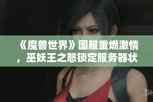 《魔兽世界》国服重燃激情，巫妖王之怒锁定服务器状态解析
