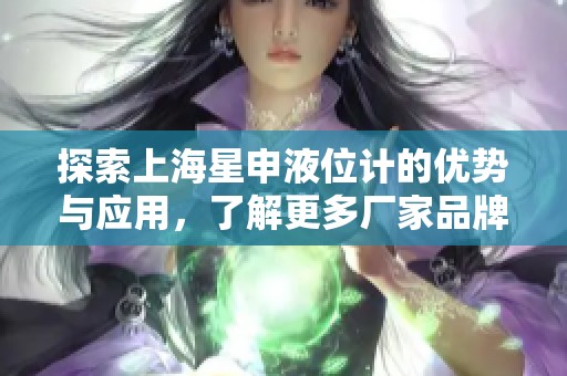 探索上海星申液位计的优势与应用，了解更多厂家品牌与热帖信息