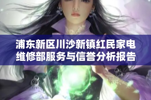 浦东新区川沙新镇红民家电维修部服务与信誉分析报告