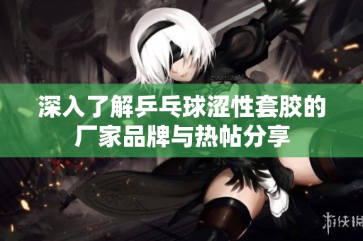 深入了解乒乓球涩性套胶的厂家品牌与热帖分享