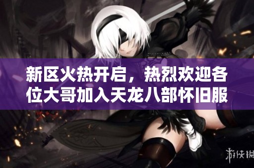 新区火热开启，热烈欢迎各位大哥加入天龙八部怀旧服！