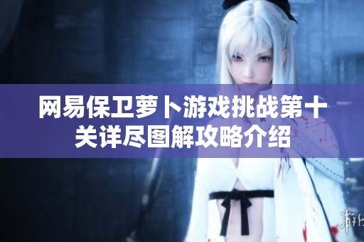 网易保卫萝卜游戏挑战第十关详尽图解攻略介绍