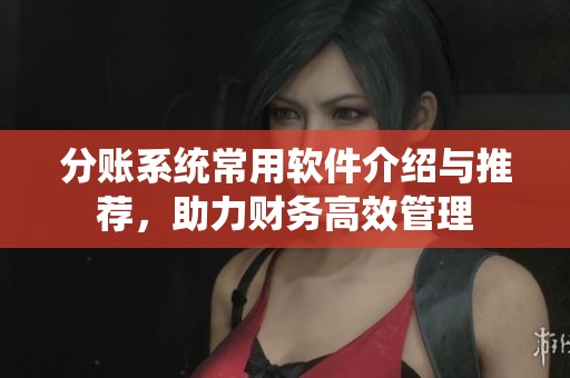 分账系统常用软件介绍与推荐，助力财务高效管理