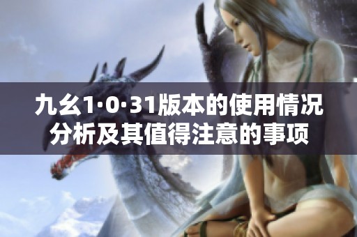 九幺1·0·31版本的使用情况分析及其值得注意的事项