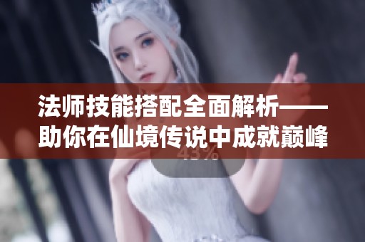 法师技能搭配全面解析——助你在仙境传说中成就巅峰之路
