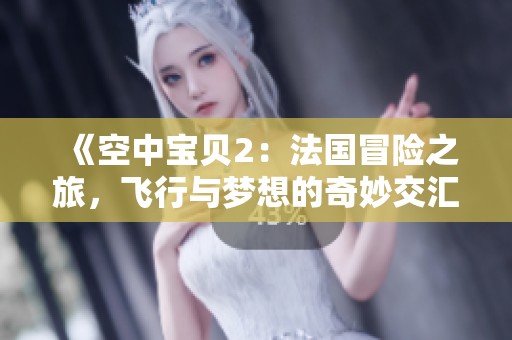《空中宝贝2：法国冒险之旅，飞行与梦想的奇妙交汇》