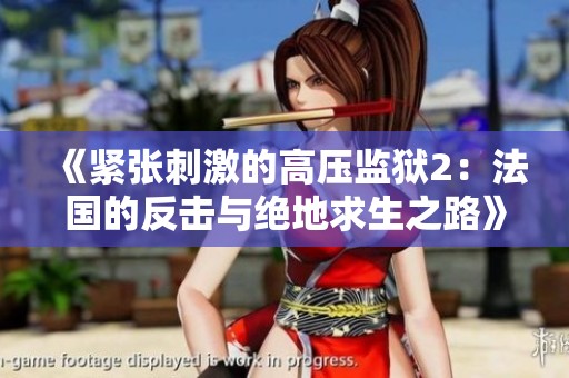《紧张刺激的高压监狱2：法国的反击与绝地求生之路》