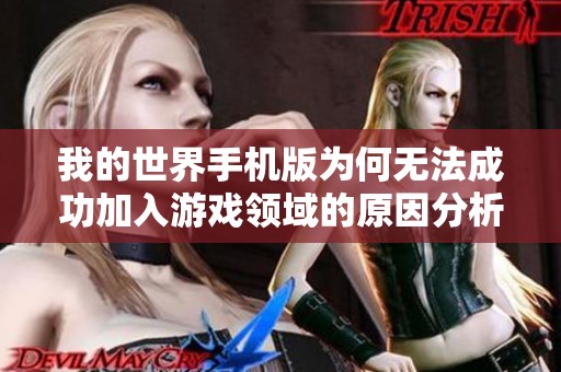 我的世界手机版为何无法成功加入游戏领域的原因分析