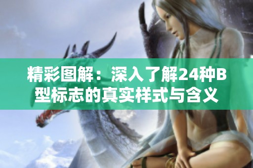 精彩图解：深入了解24种B型标志的真实样式与含义