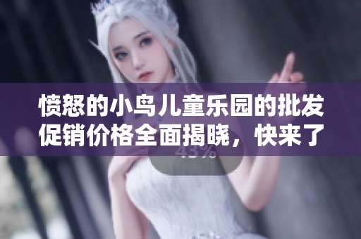 愤怒的小鸟儿童乐园的批发促销价格全面揭晓，快来了解！