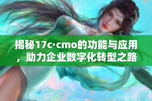 揭秘17c·cmo的功能与应用，助力企业数字化转型之路