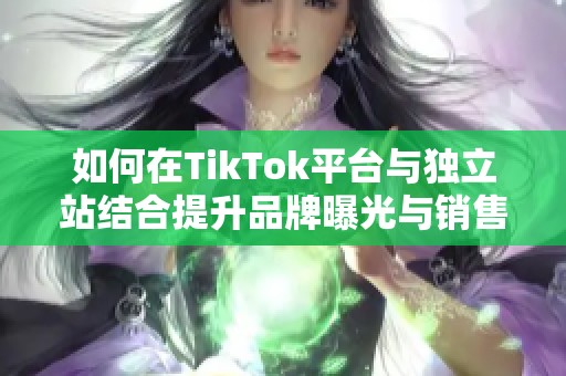 如何在TikTok平台与独立站结合提升品牌曝光与销售额