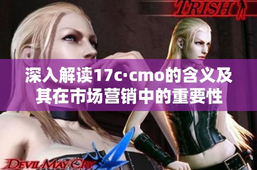 深入解读17c·cmo的含义及其在市场营销中的重要性