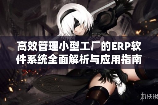 高效管理小型工厂的ERP软件系统全面解析与应用指南